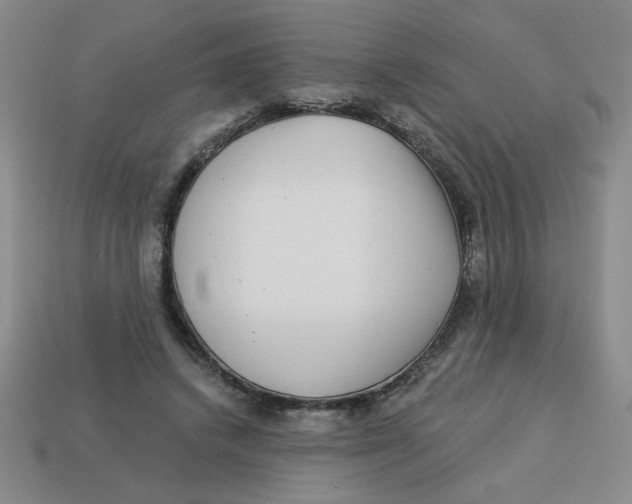 X0000113340448200910131222