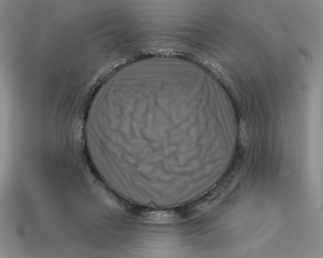X0000113340449200910131222