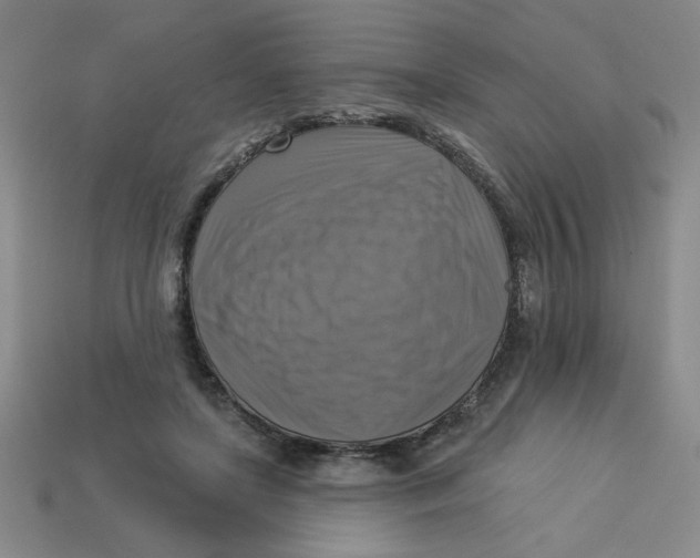 X0000113340451200910131222
