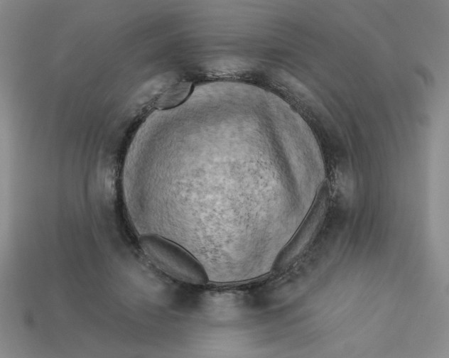 X0000113340452200910131222