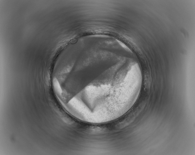 X0000113340453200910131222