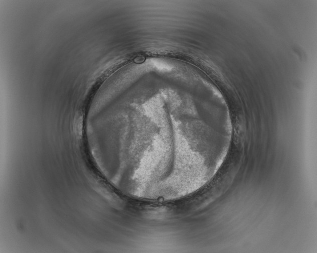 X0000113340454200910131222
