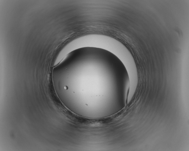 X0000113340456200910131222