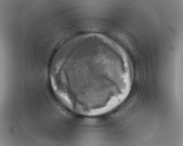 X0000113340457200910131222