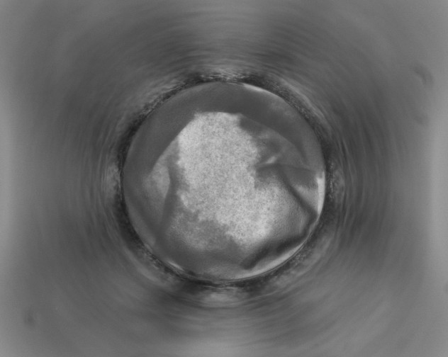 X0000113340459200910131222