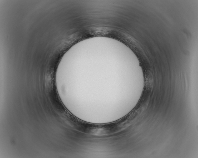 X0000113340460200910131222