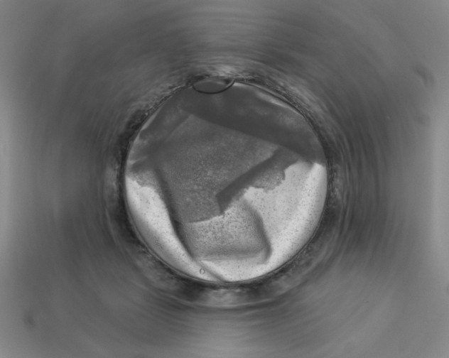 X0000113340461200910131222