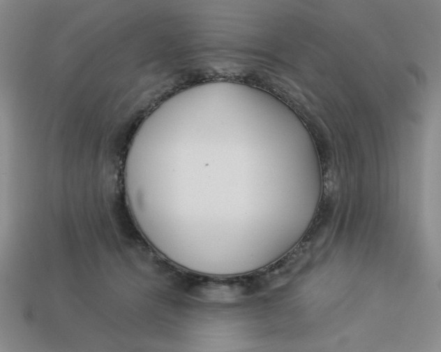 X0000113340464200910131222