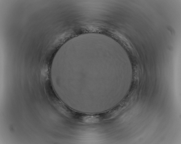 X0000113340465200910131222