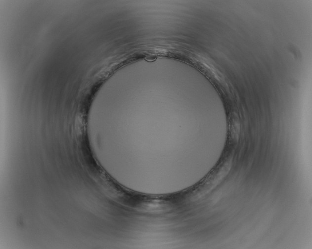 X0000113340467200910131222