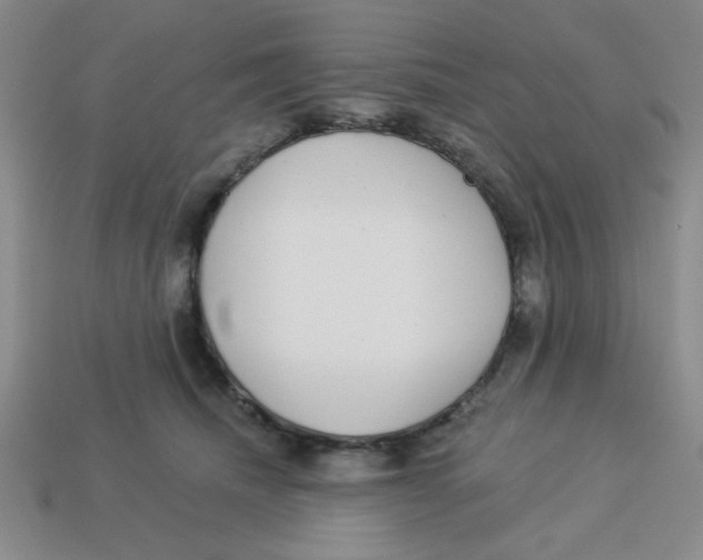 X0000113340468200910131222