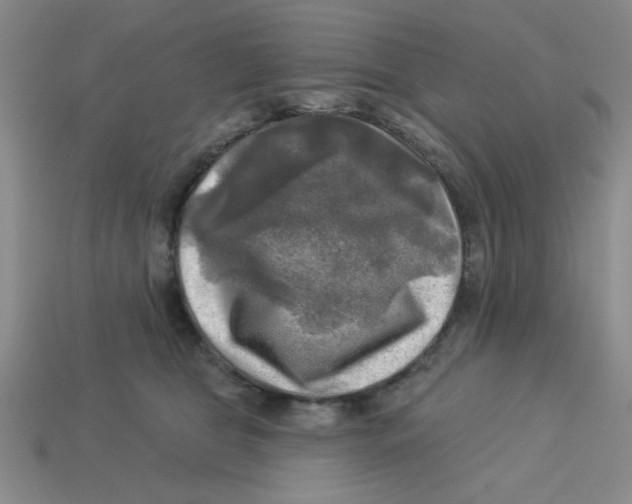 X0000113340469200910131222