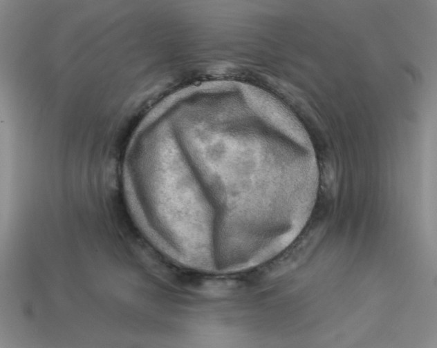 X0000113340470200910131222