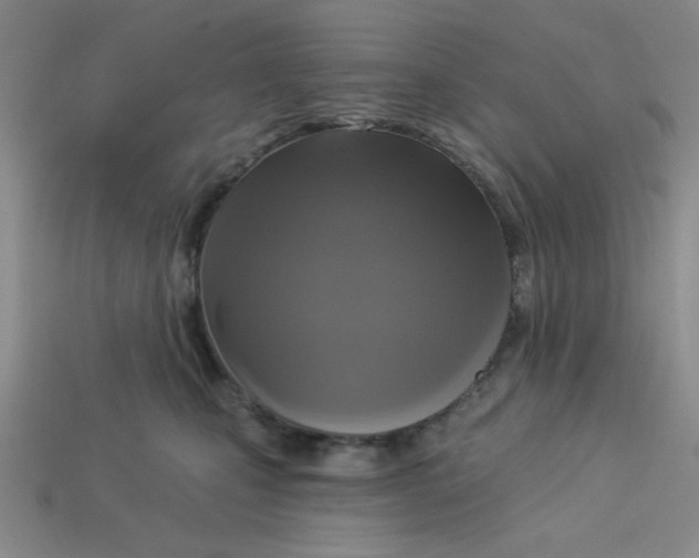 X0000113340471200910131222