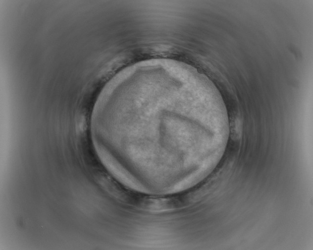 X0000113340472200910131222