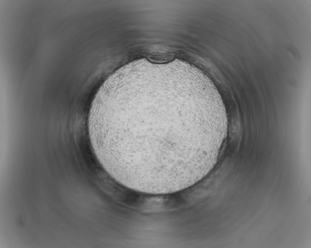 X0000113340473200910131222