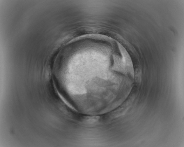 X0000113340474200910131222