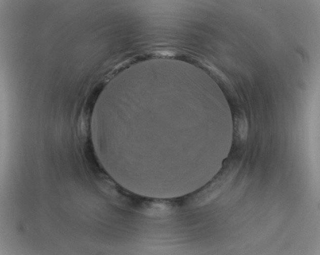 X0000113340475200910131222