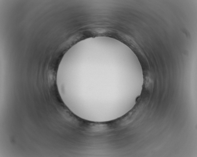 X0000113340476200910131222
