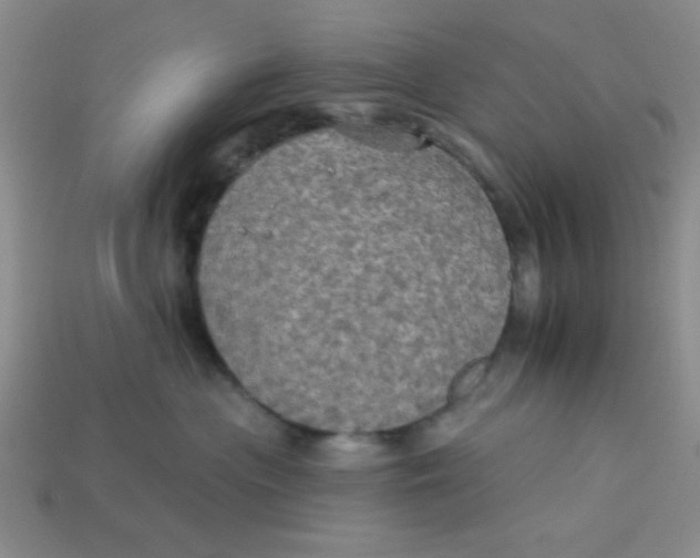 X0000113340477200910131222