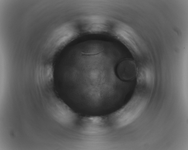 X0000113340478200910131222