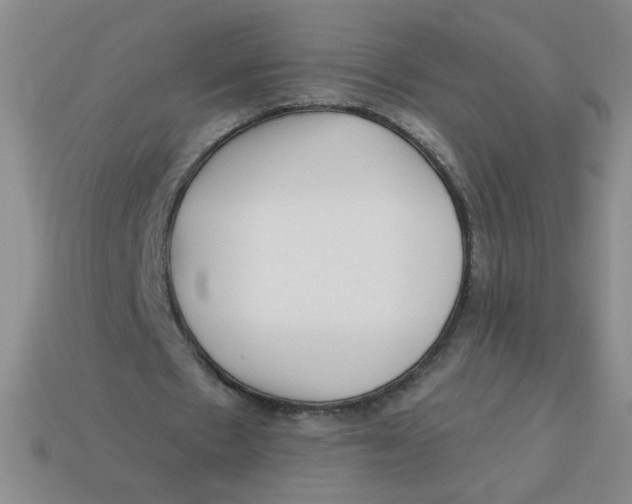 X0000113340481200910131221