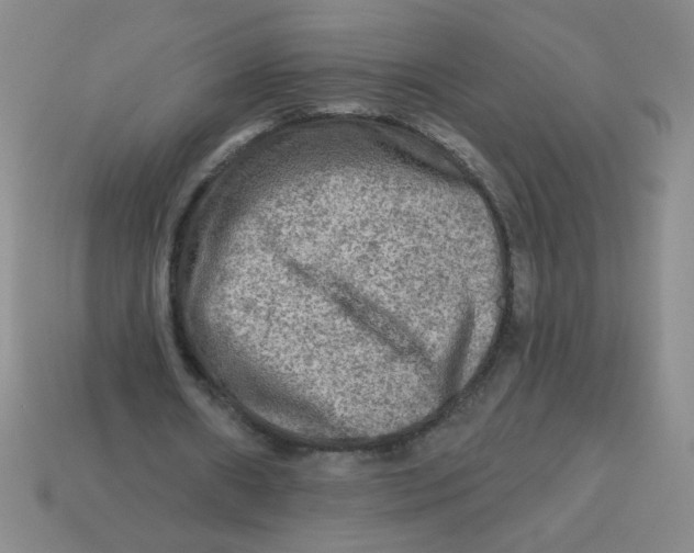 X0000113340482200910131221