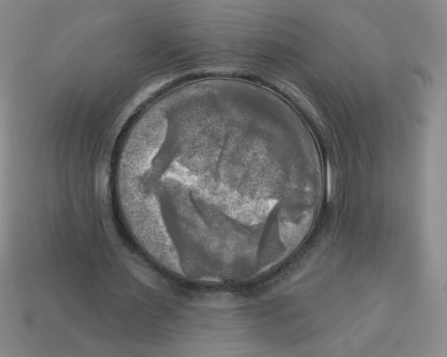 X0000113340483200910131221