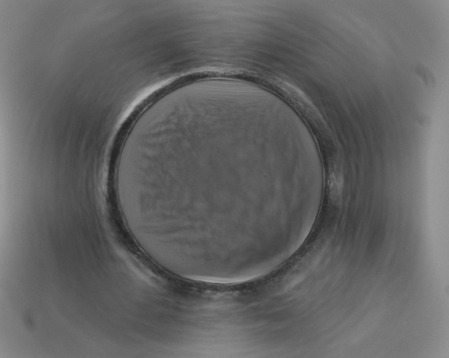 X0000113340484200910131221