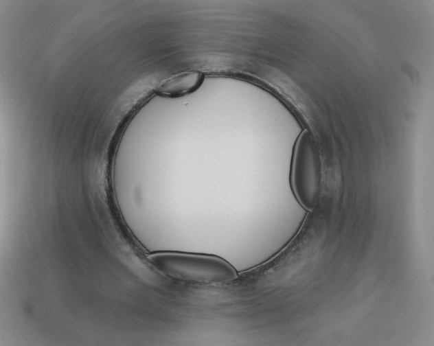 X0000113340485200910131221