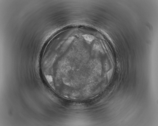 X0000113340487200910131221
