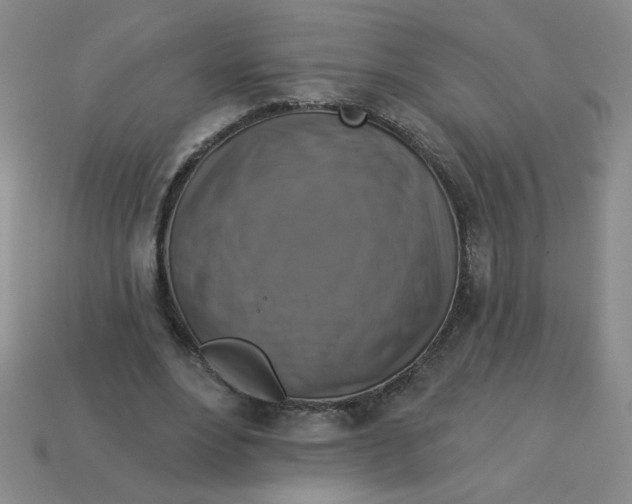 X0000113340488200910131221