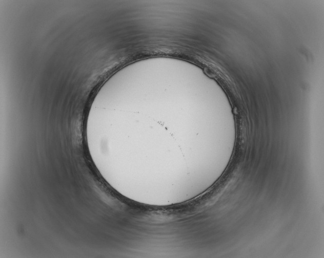 X0000113340489200910131221