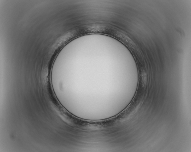 X0000113340490200910131221