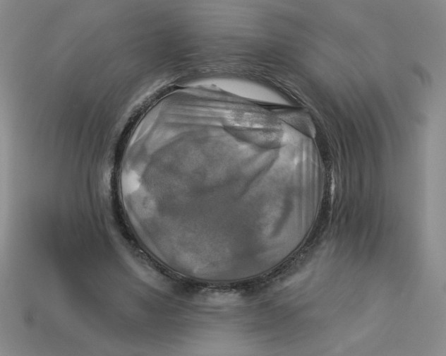 X0000113340491200910131221