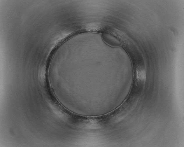X0000113340492200910131221
