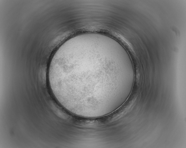 X0000113340493200910131221