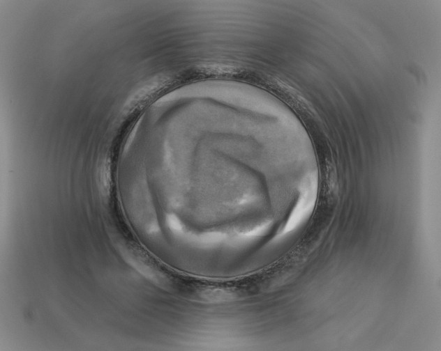 X0000113340494200910131221