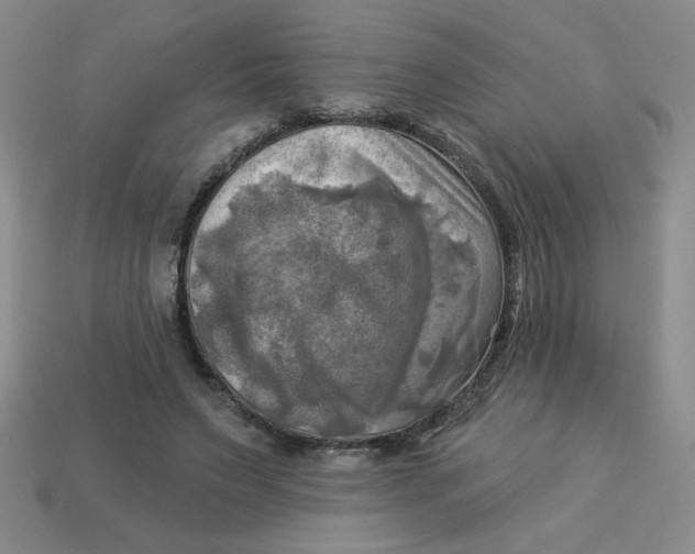 X0000113340495200910131221