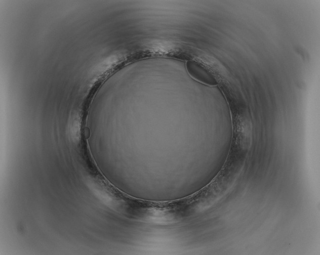 X0000113340496200910131221