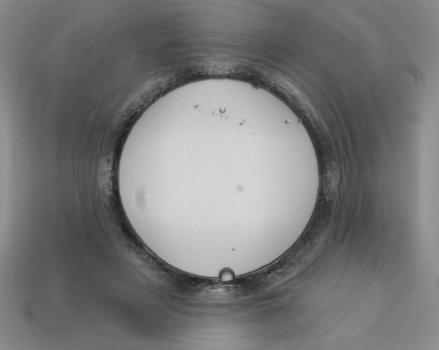 X0000113340497200910131221