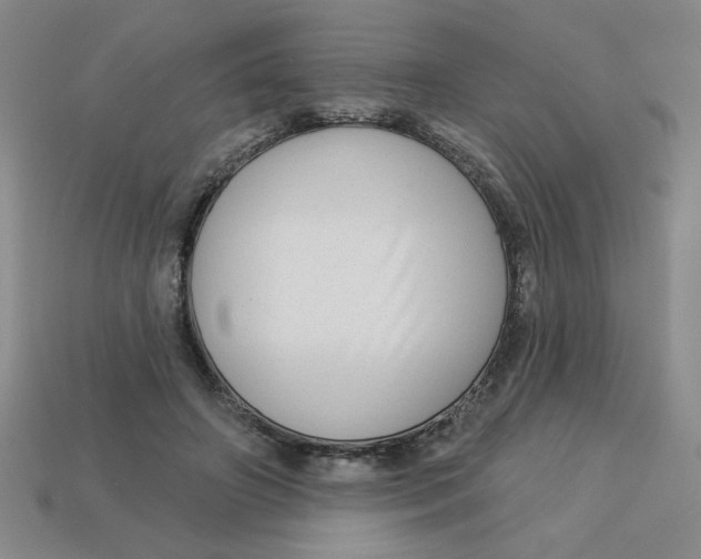 X0000113340498200910131221