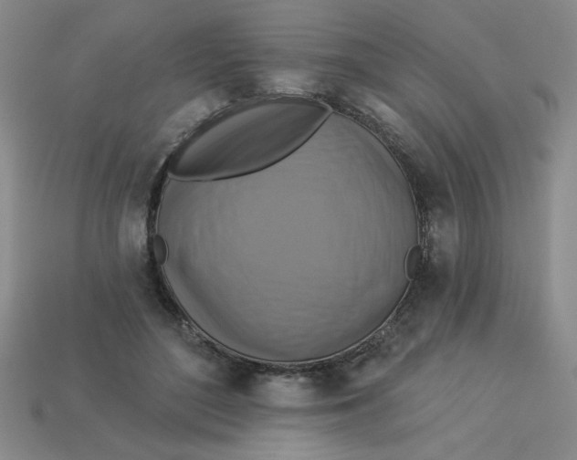 X0000113340500200910131221