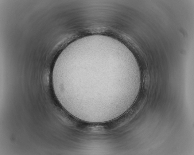 X0000113340501200910131221