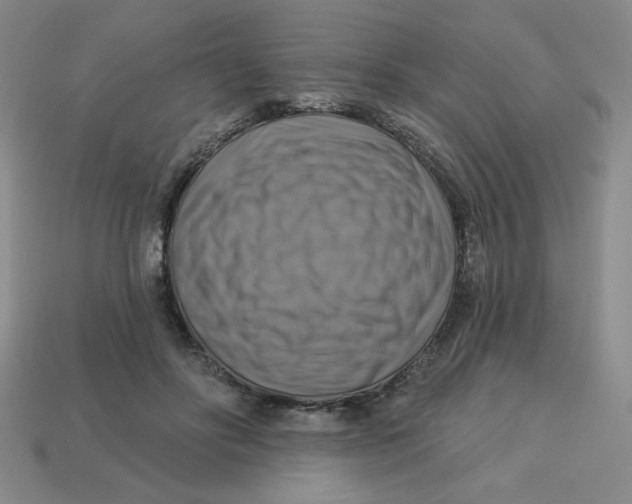 X0000113340502200910131221