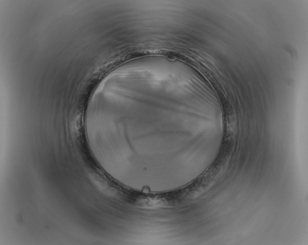 X0000113340503200910131221
