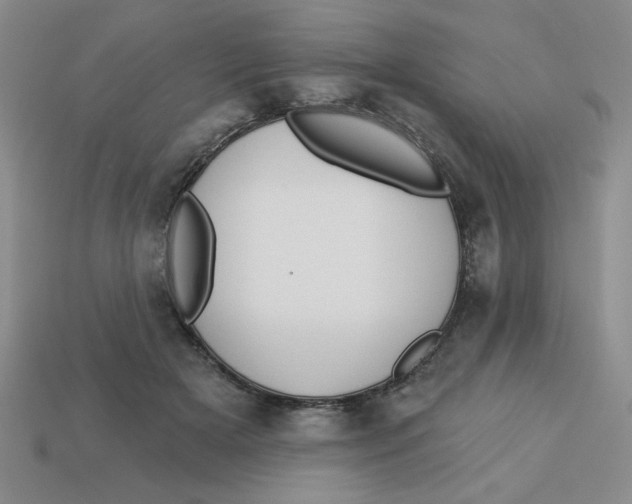 X0000113340505200910131221