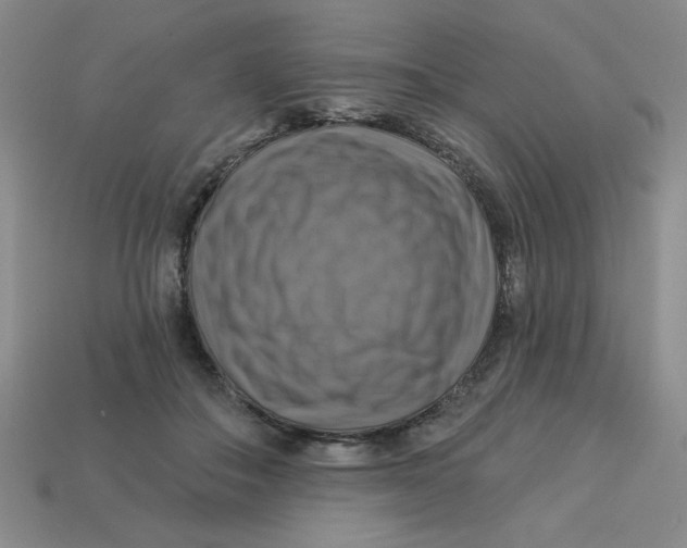 X0000113340506200910131221