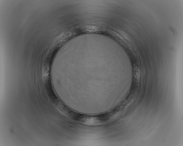 X0000113340507200910131221
