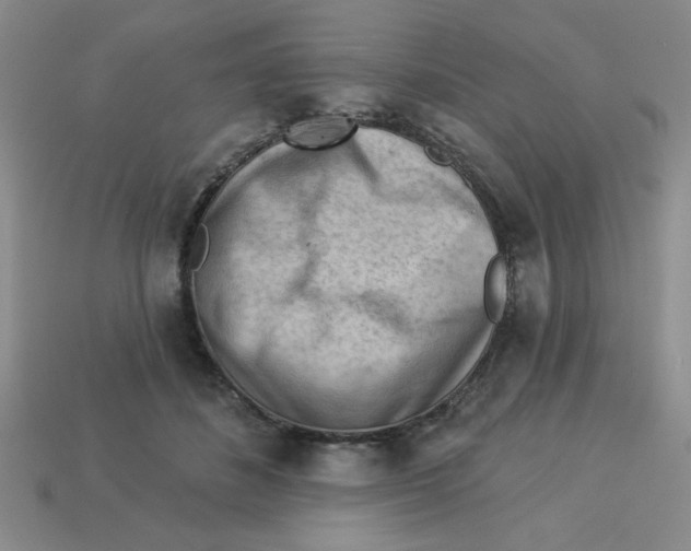 X0000113340508200910131221